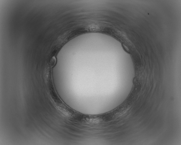 X0000073470645200608181332