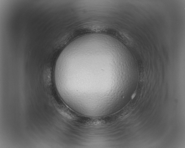 X0000073470646200608181332