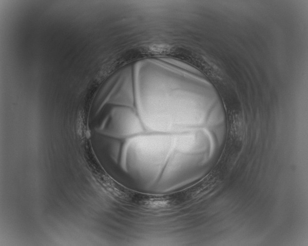 X0000073470651200608181332