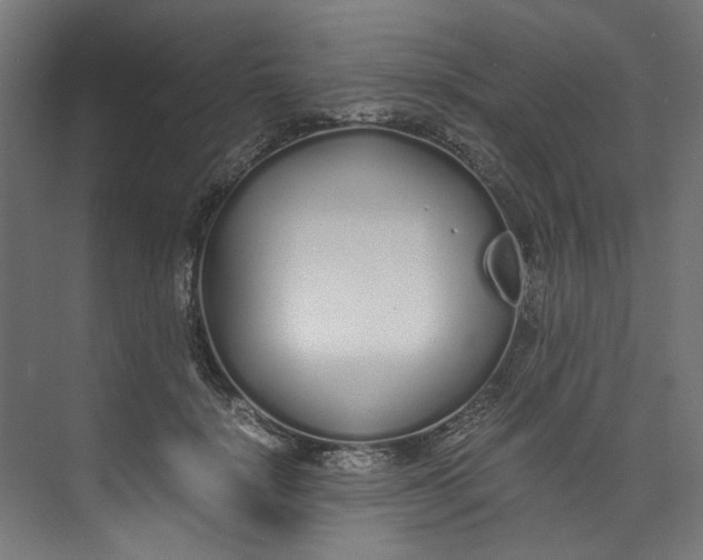 X0000073470652200608181332