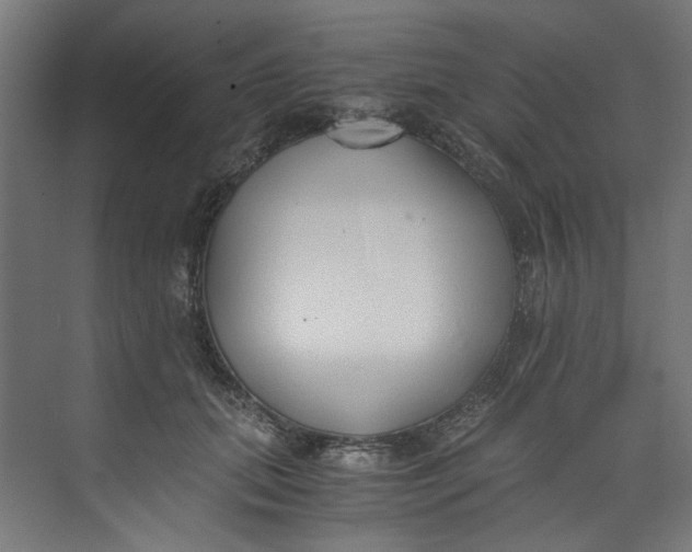 X0000073470655200608181332