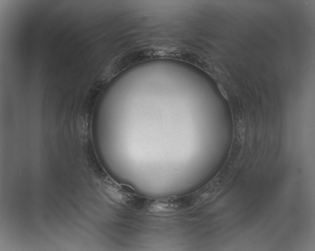 X0000073470657200608181332