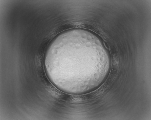 X0000073470658200608181332