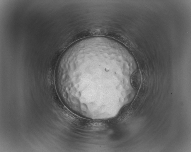 X0000073470659200608181332