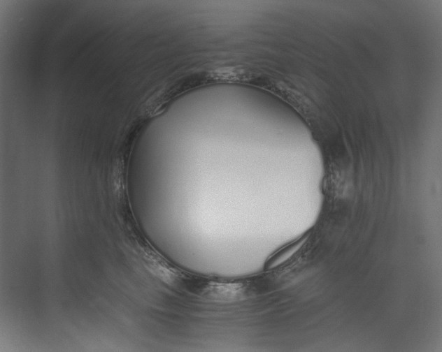 X0000073470665200608181332