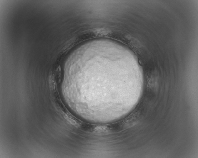 X0000073470666200608181332