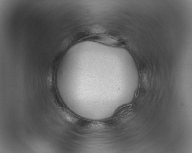 X0000073470668200608181332