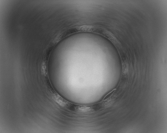 X0000073470669200608181332
