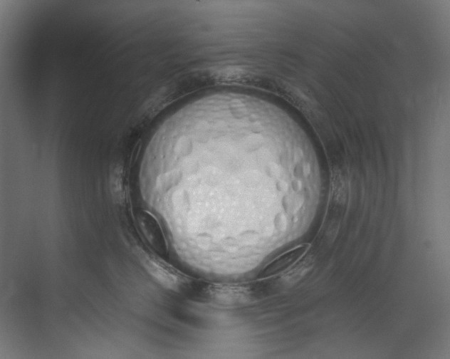 X0000073470670200608181332