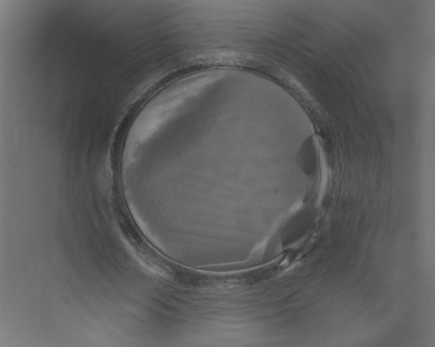X0000073470674200608181332