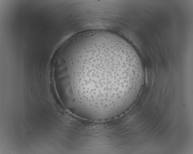 X0000073470675200608181332