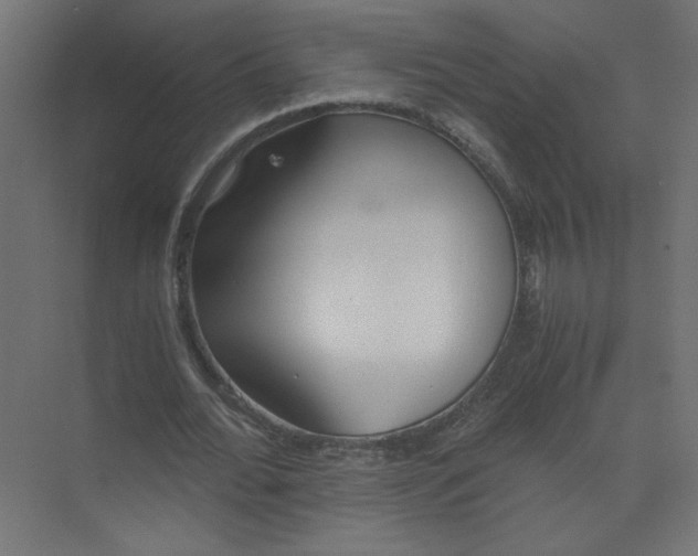 X0000073470676200608181332
