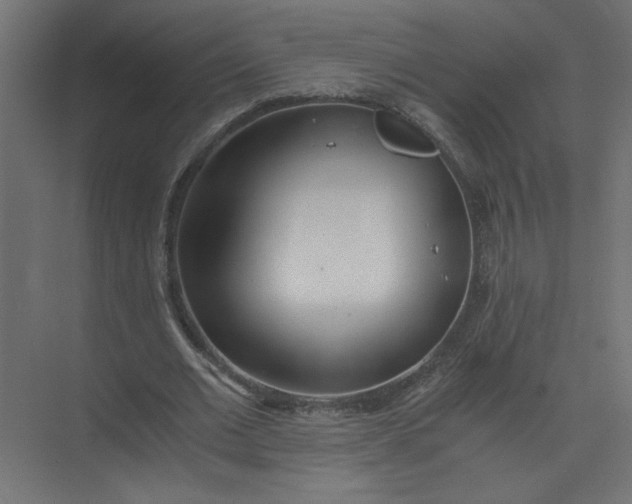 X0000073470677200608181332