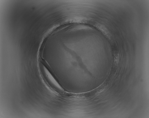 X0000073470678200608181332