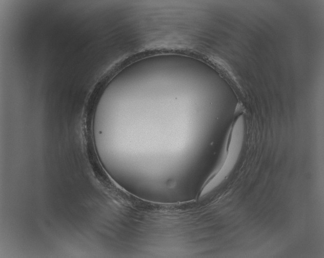 X0000073470680200608181332