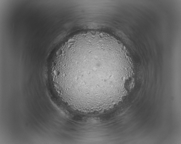 X0000073470683200608181331
