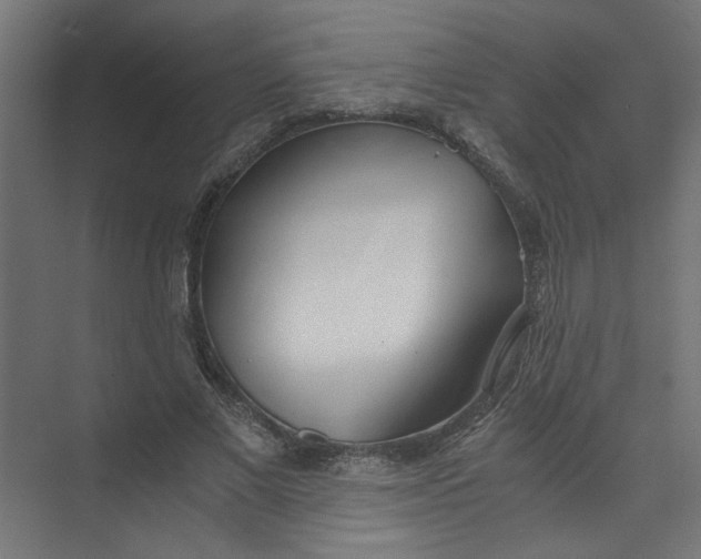 X0000073470685200608181331