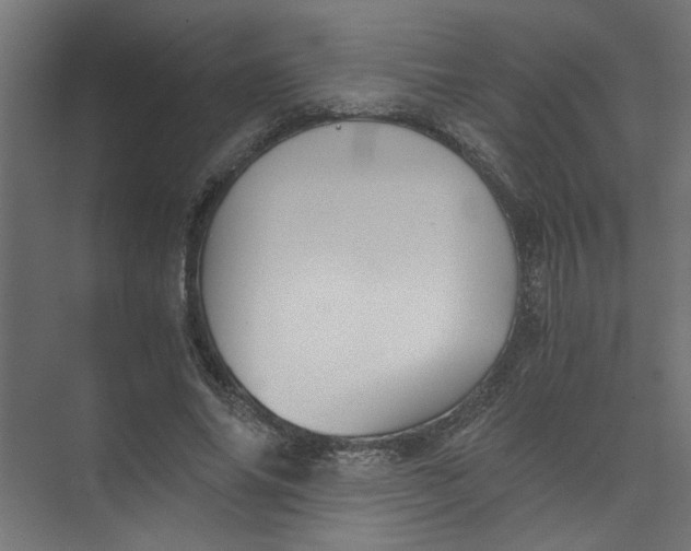 X0000073470686200608181331