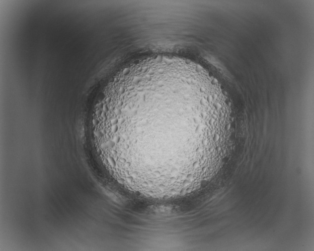 X0000073470687200608181331