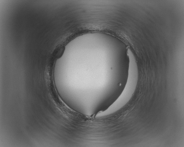 X0000073470688200608181331