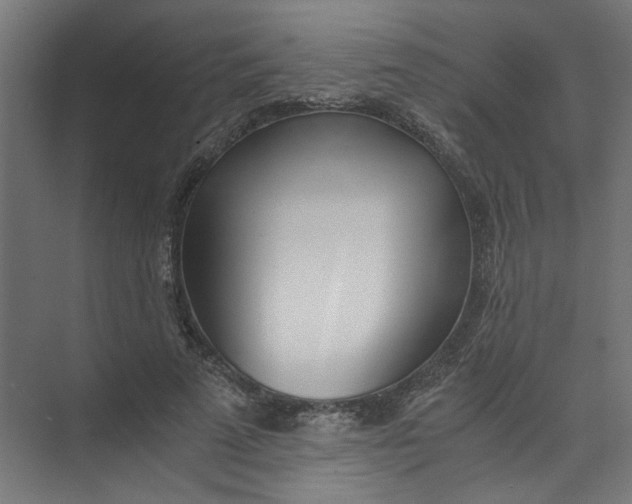 X0000073470689200608181331
