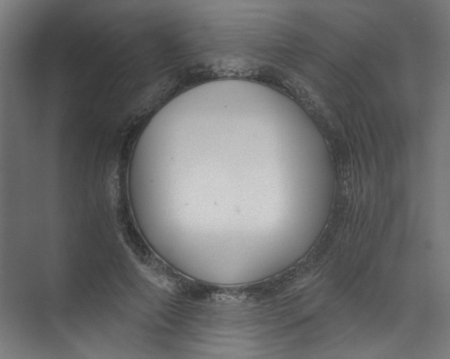 X0000073470690200608181331