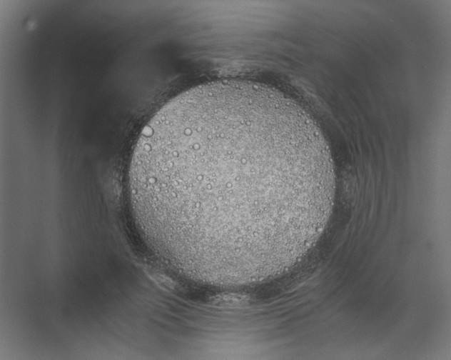 X0000073470691200608181331