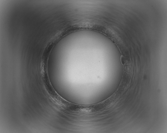 X0000073470692200608181331