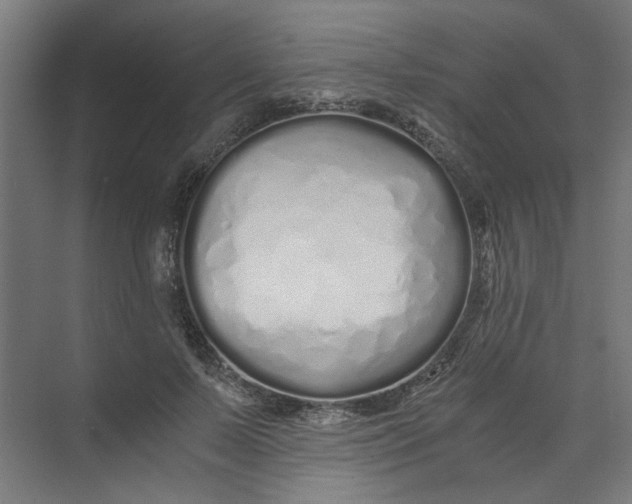 X0000073470695200608181331
