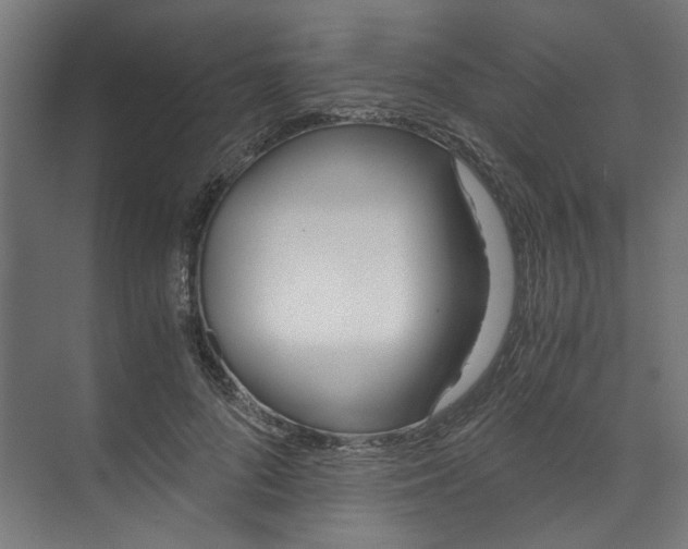 X0000073470696200608181331