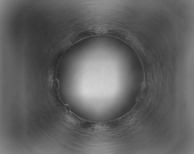 X0000073470697200608181331