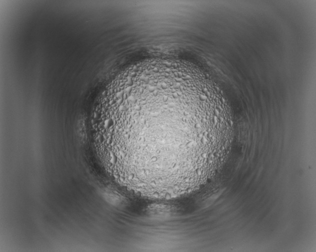 X0000073470699200608181331