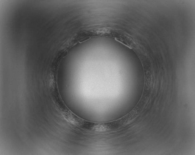X0000073470704200608181331
