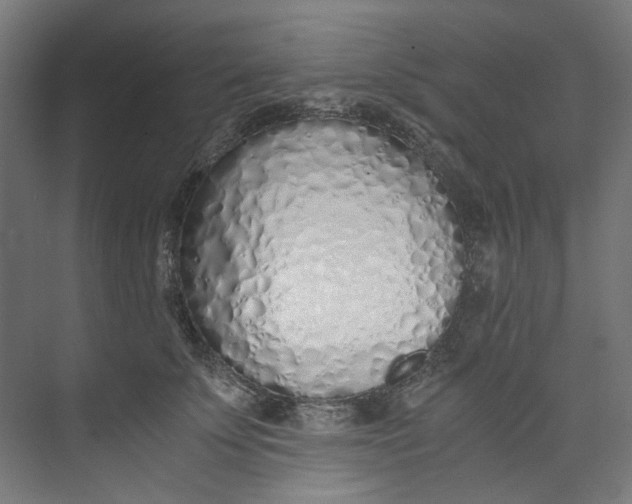 X0000073470707200608181331