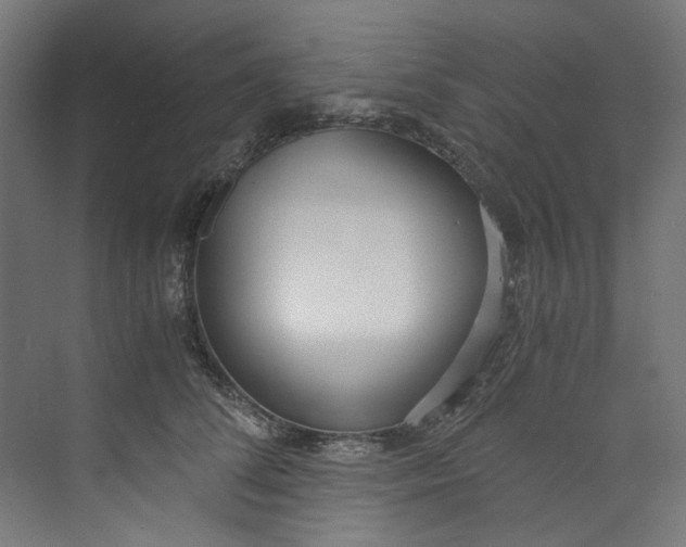 X0000073470708200608181331