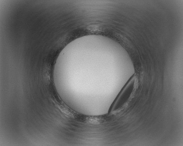 X0000073470710200608181331