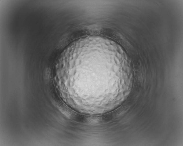X0000073470711200608181331