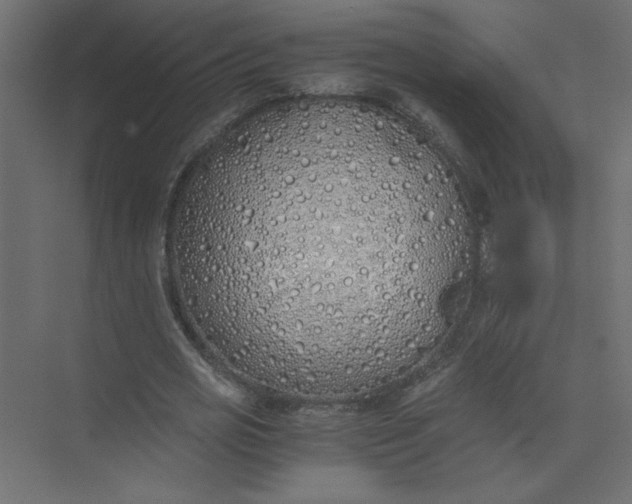 X0000073470725200608181330