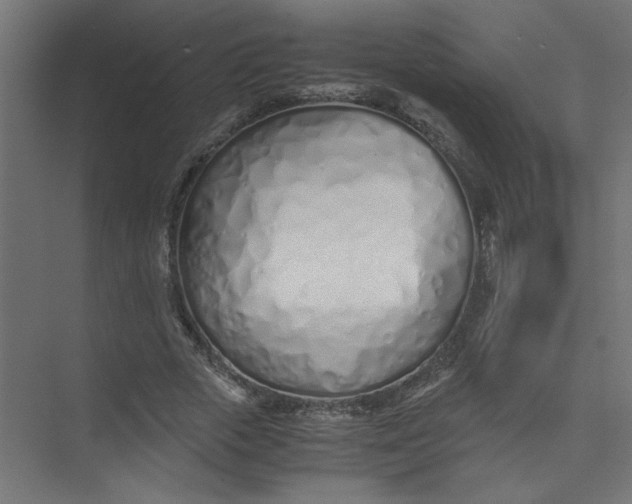 X0000073470729200608181330