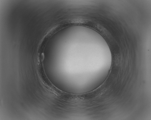 X0000073470731200608181330