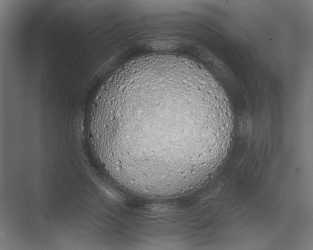 X0000073470733200608181330