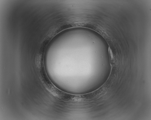 X0000073470742200608181330