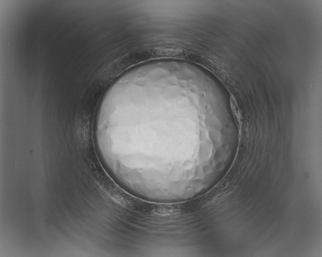 X0000073470745200608181330
