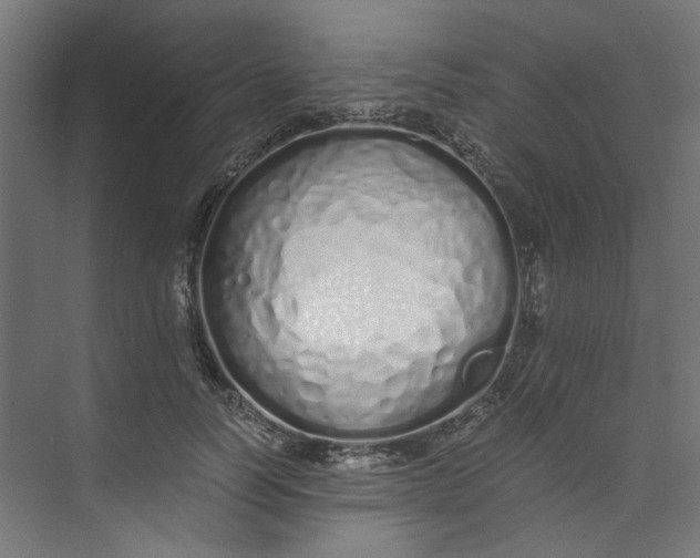 X0000073470746200608181330