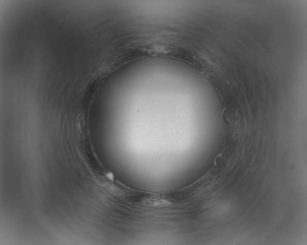X0000073470747200608181330