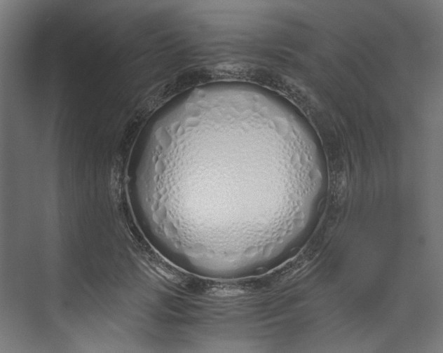 X0000073470749200608181331