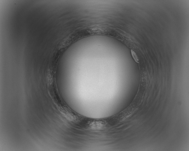 X0000073470751200608181331