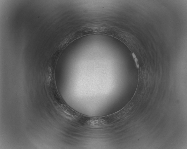 X0000073470752200608181331
