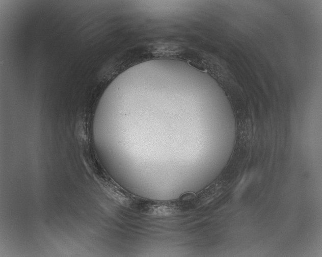 X0000073470755200608181331