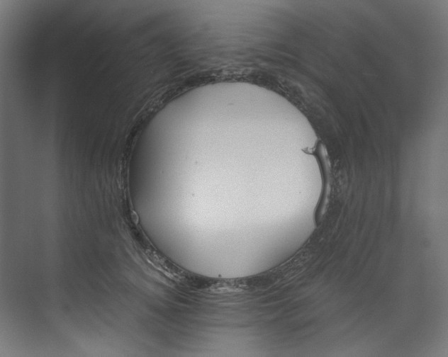 X0000073470756200608181331